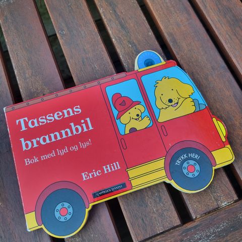 Tassens brannbil bok