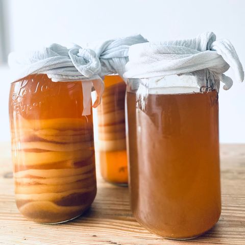 Kombucha Vannkefir