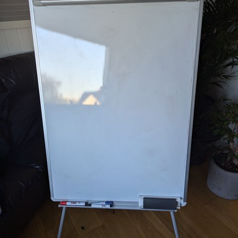 Whiteboard