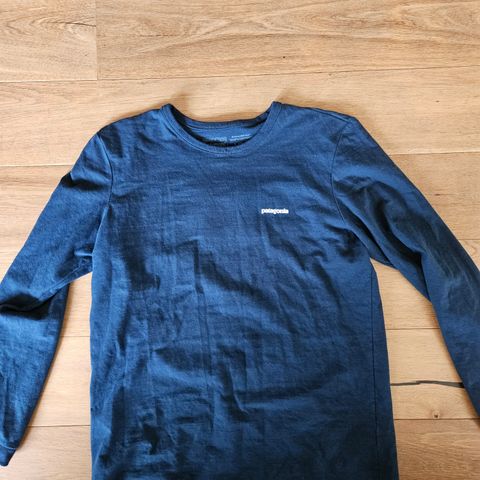 Patagonia Responsibilitee LS