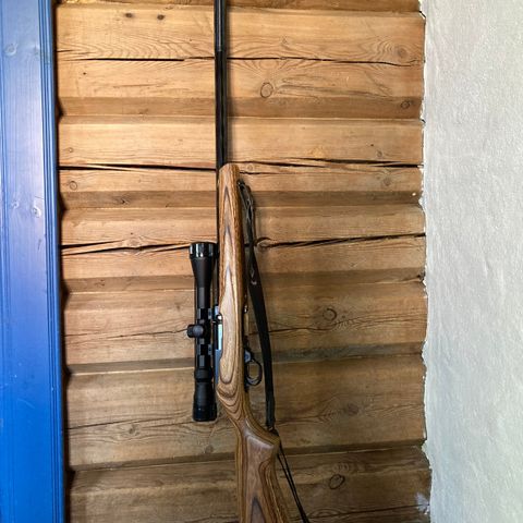 Ruger K10/22T