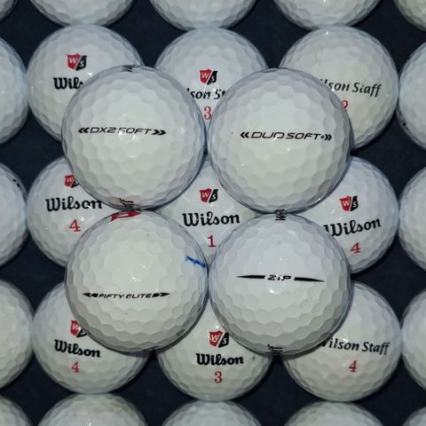 81 Wilson Staff golfballer