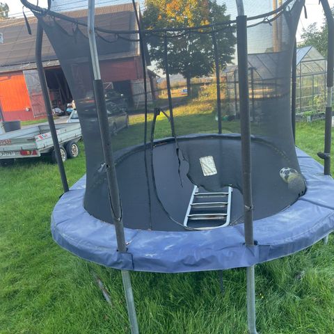 Stor trampoline selges billig