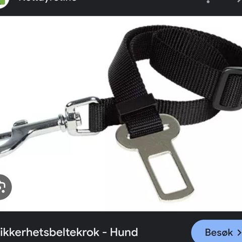 sikkerhetsbelte-lenke til hund