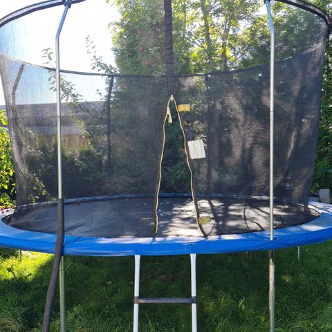 Trampoline