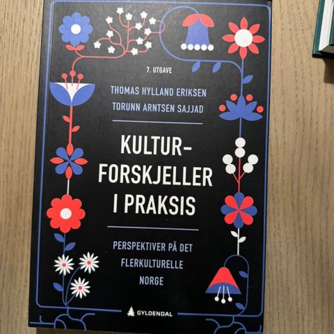 Kulturforskjeller i praksis