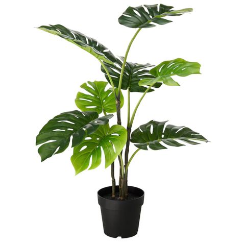 FEJKA kunstig potteplante inne/ute monstera : IKEA