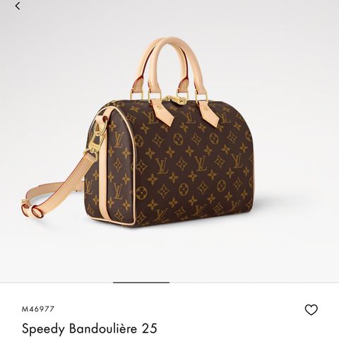 Louis Vuitton veske ! Kjøpt i 2023! Kom med bud