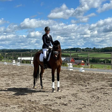 hest settes bort på for til turidning , og litt sprang