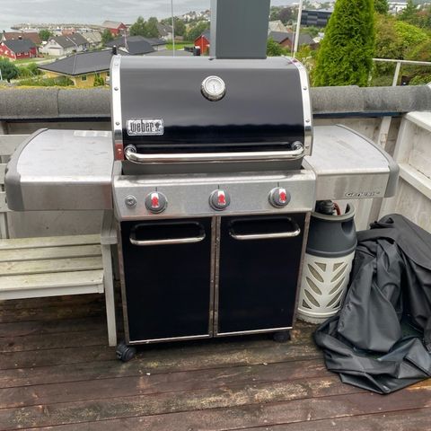 Weber Genesis E310