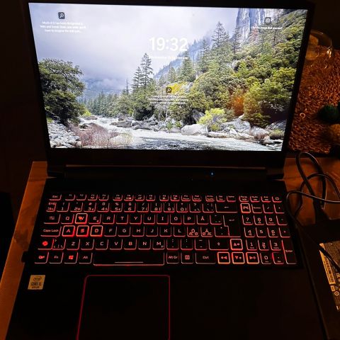 Acer Nitro 5, Intel i5, GTX 1660Ti, 16GB Ram