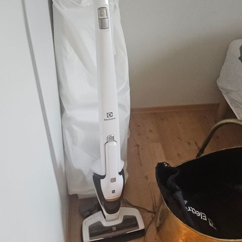 Electrolux Ergorapido støvsuger 2 i 1.