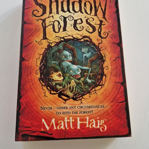 Shadow Forest - english childrens book