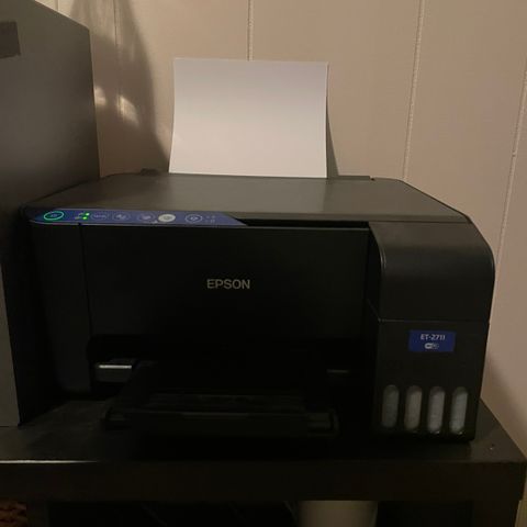 EPSON PRINTER (med noen feil)