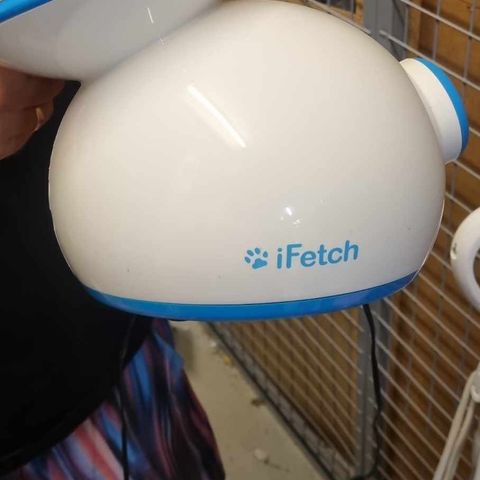 iFetch ballkaster til hund