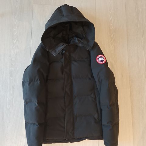 Canada goose Macmillan