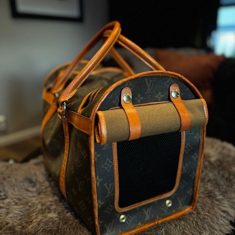 Louis Vuitton dog carrier