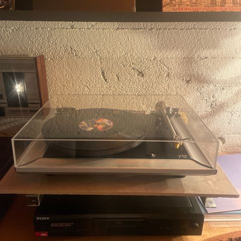 REGA PLANAR P5 med rega exact mm pu