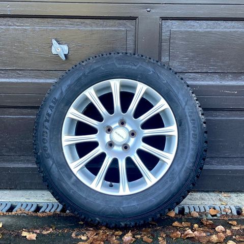 Piggdekk Subaru Outback/Legacy 215/65 R16