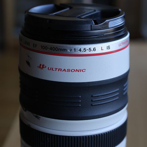 Canon zoom EF 100-400 mm 4,5 - 5,6 L IS