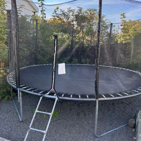 Trampoline GIS BORT