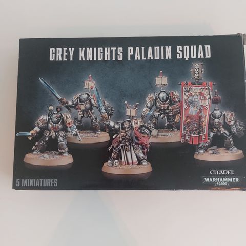 Warhammer - Grey Knights Paladin Squad