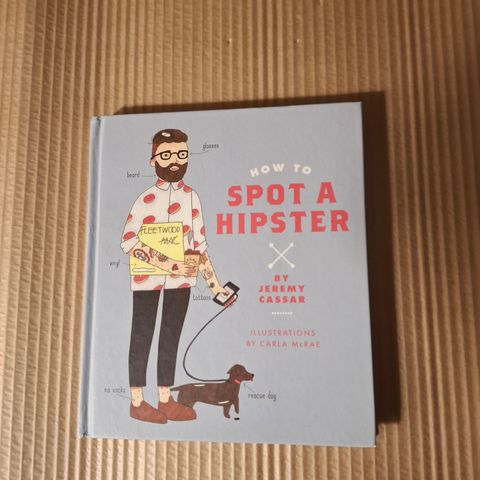 " HOW TO SPOT A HIPSTER '