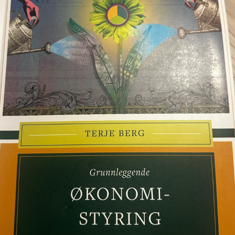 selger grunnleggende økonomistyring 3. utgave