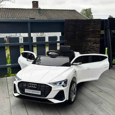 Audi elbil