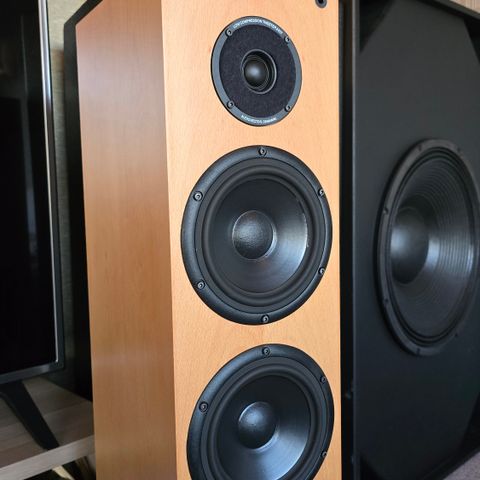 Audiovector F3 M2