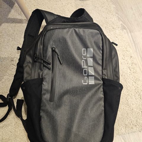 GoPro Daytripper Backpack