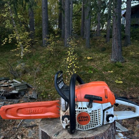 Stihl MS 251