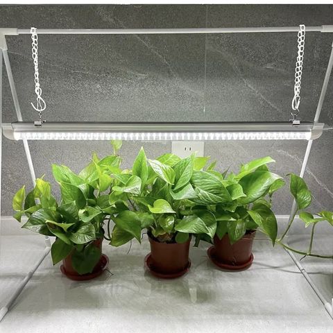 Plantelys 60 cm  LED, 15 W, m/stativ