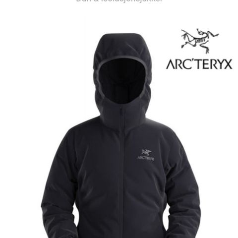 Arcteryx atom hoddy