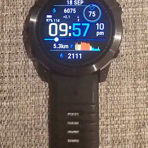 Garmin epix pro 51mm