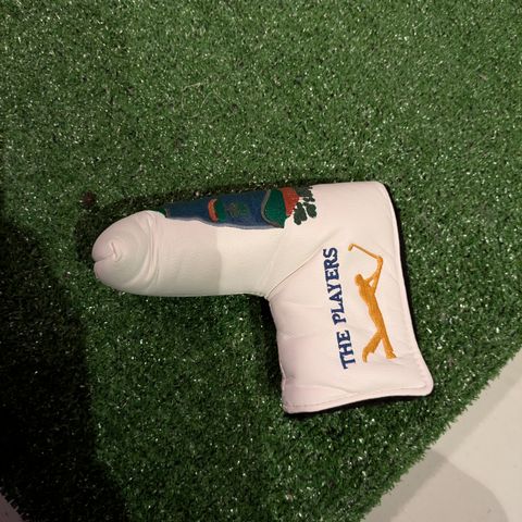 The players headcover