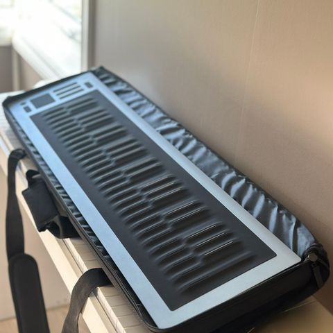 Seaboard RISE 2