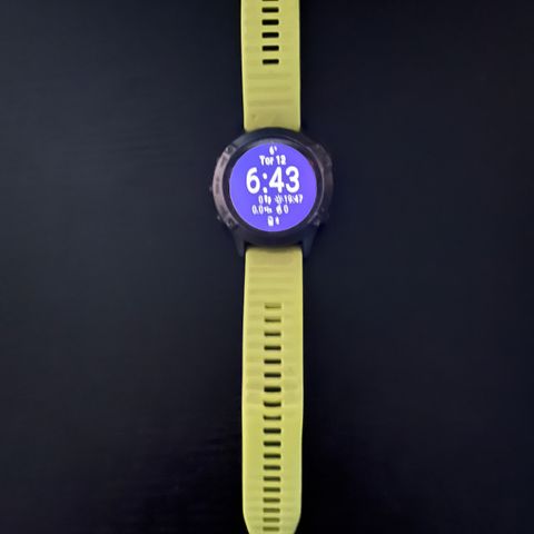 Garmin Phenix 6 Sapphire