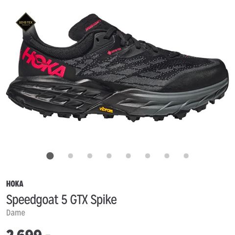 Hoka Speedgoat 5 gtx spike