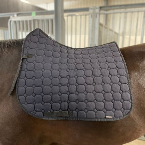 Equiline dressursjabraker selges!