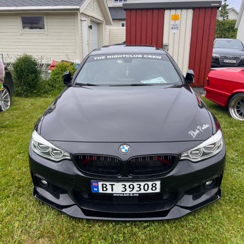 BMW F30 / F31 / F32 / F33 / F36 Panser