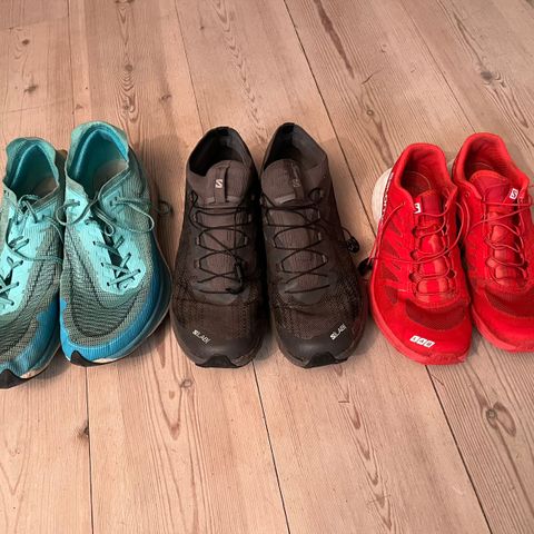 Salomon og Nike sko