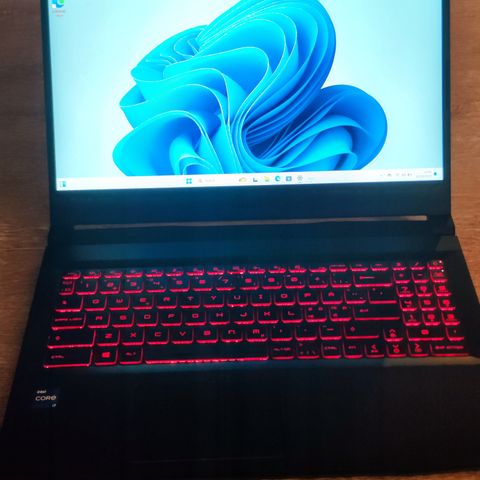 MSI Katana GF66 - i7/3060/1tb