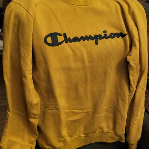 Champion Sweatshirt