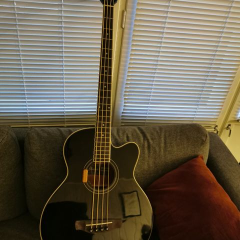 Ibanez AEB8E