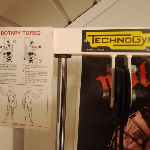 Technogym  rotary torso