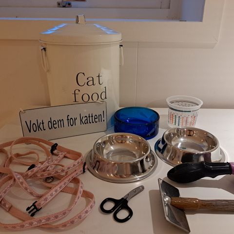 Alt du trenger til katten din!