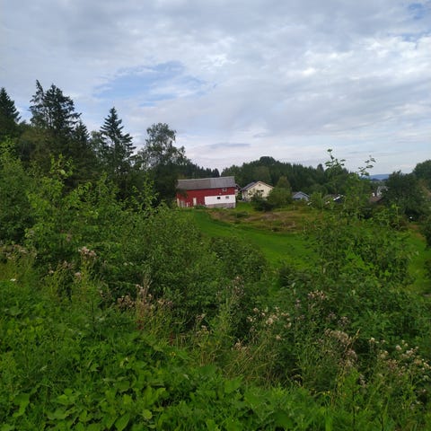 Annonsebilde