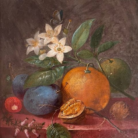 Johann Nepomuk Mayrhofer (1764 - 1832) - Stilleben mit Früchten