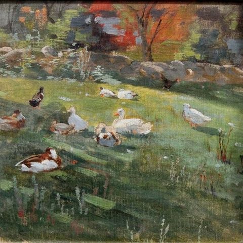 German school around 1900 - Ducks on the meadow